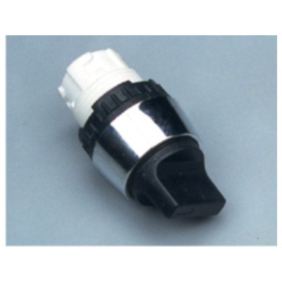 5230083 BUTON